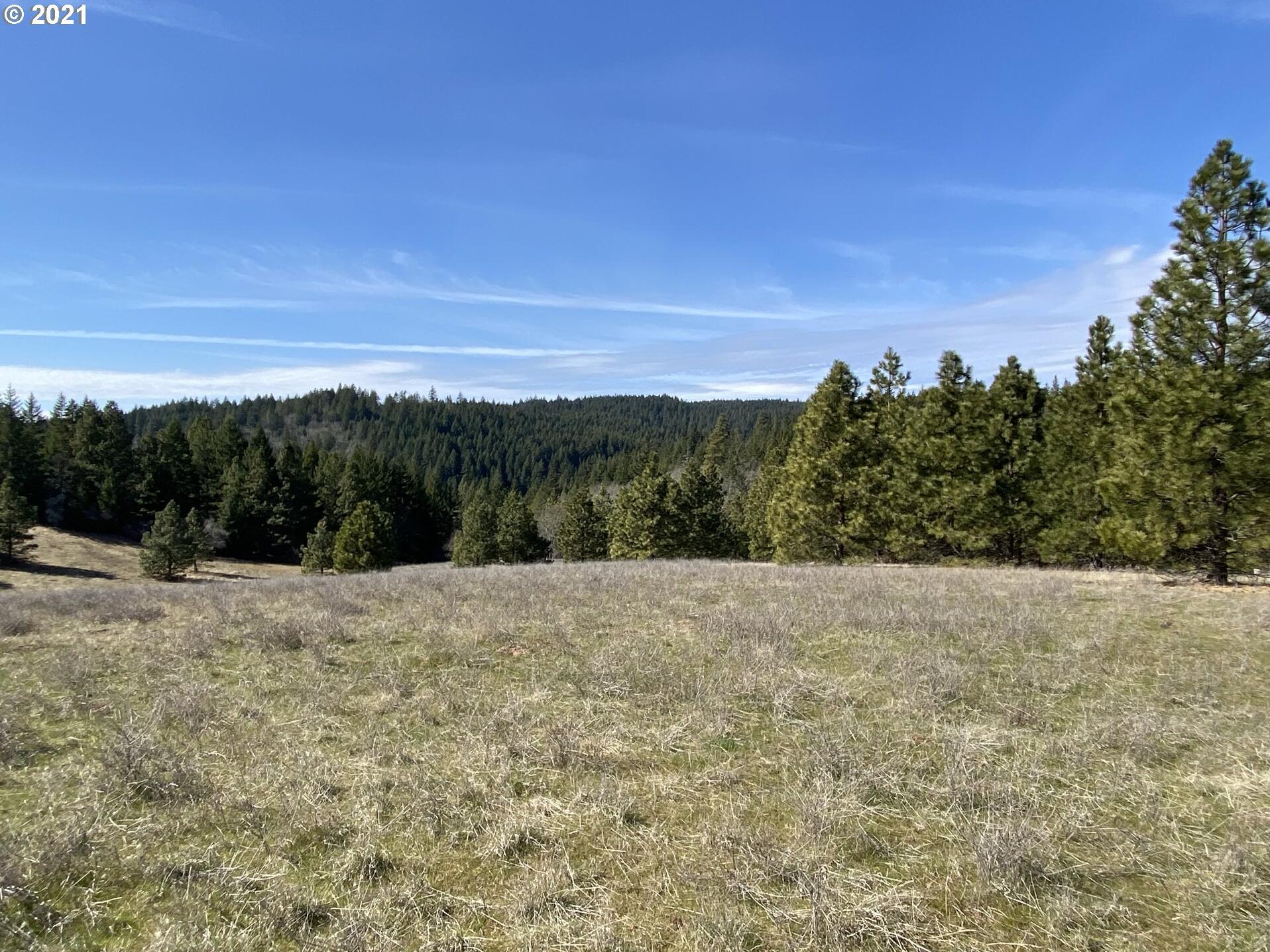 Hood River Real Estate Don Nunamaker, Realtors Homes For Sale 43