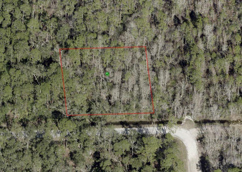 Photo of BLOSSOM ROAD DELAND FL 32724