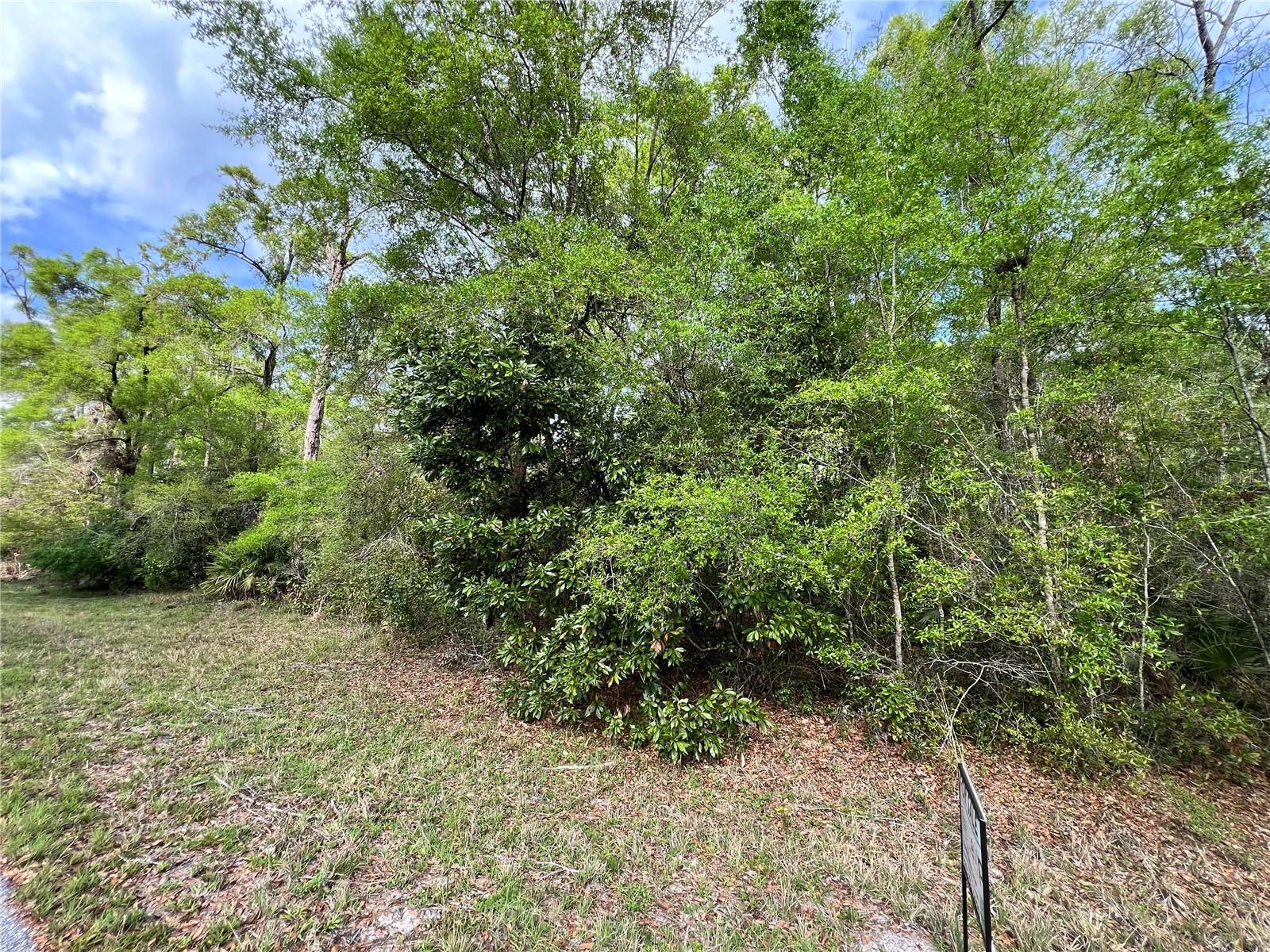 Photo of NW 74TH COURT #111 CHIEFLAND FL 32626
