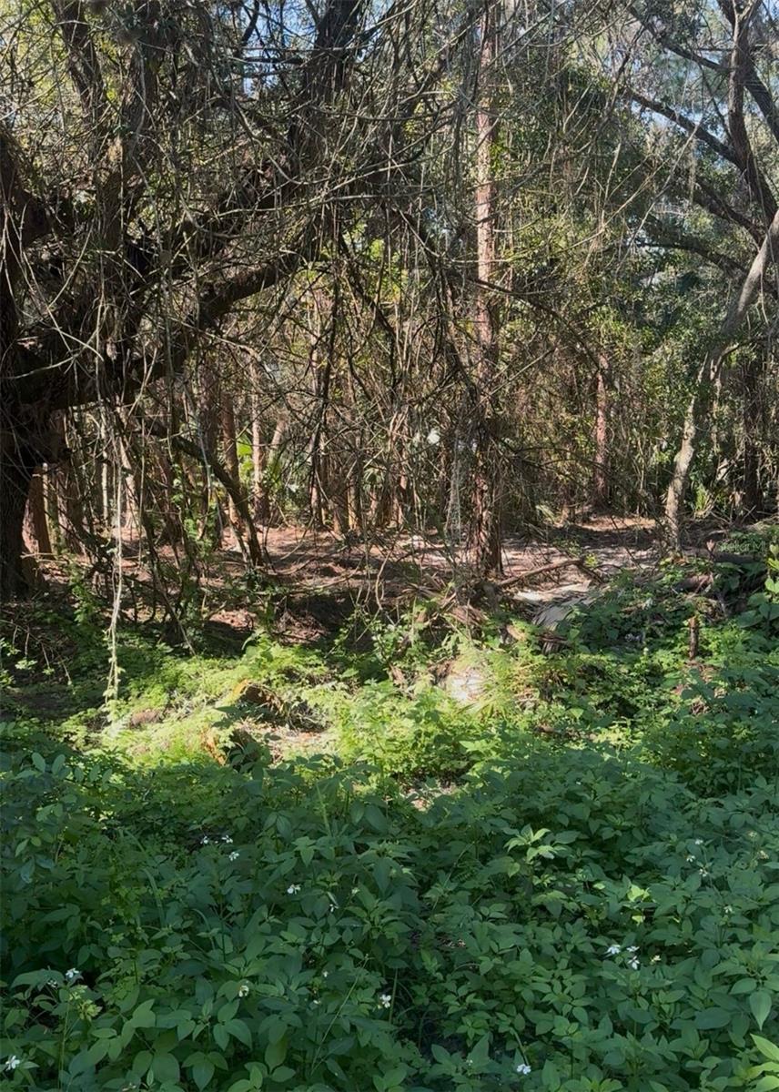 Photo of CR-138 BRANFORD FL 32008