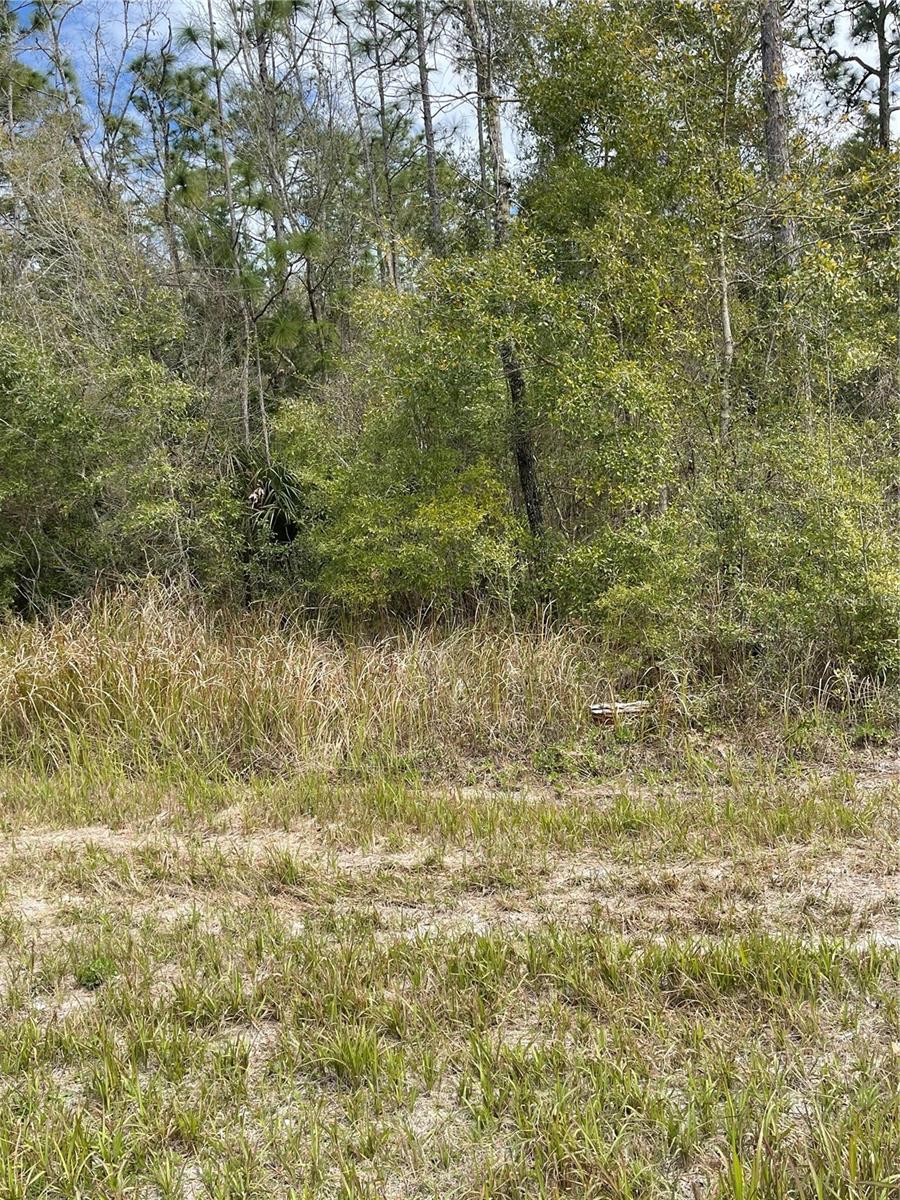 Photo of 14139 PIGEON ROAD HUDSON FL 34669