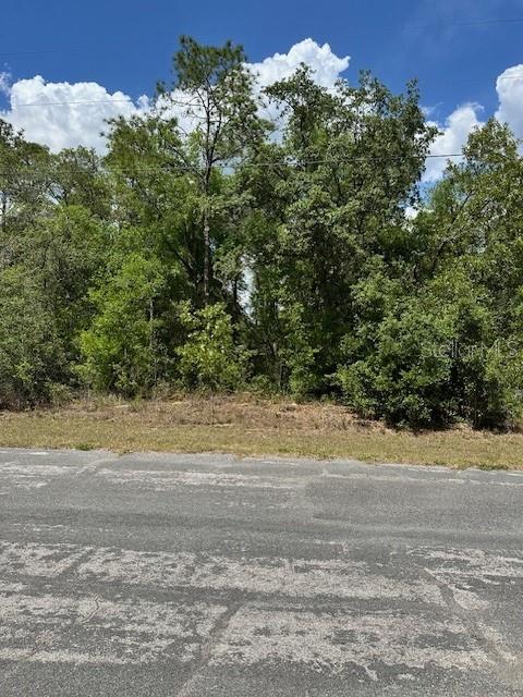 Photo of 2235 W SUMMER PLACE DUNNELLON FL 34434