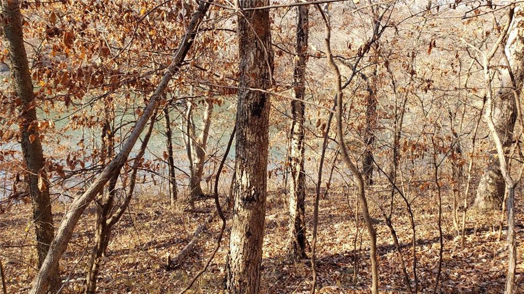 Photo of 6004 West Shore Court Parkville MO 64152