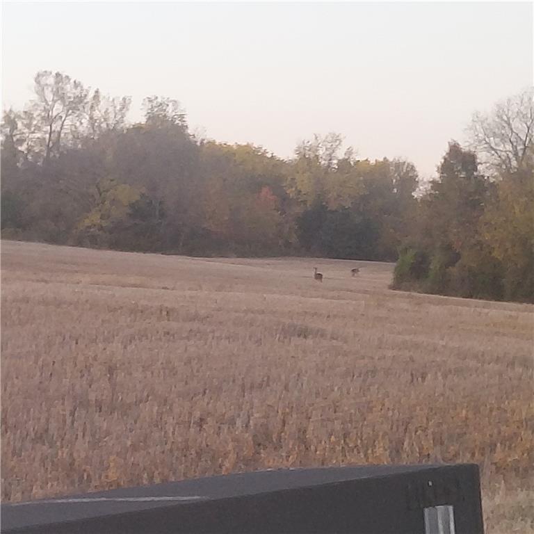Photo of 13-Acres E 315th Street Drexel MO 64742