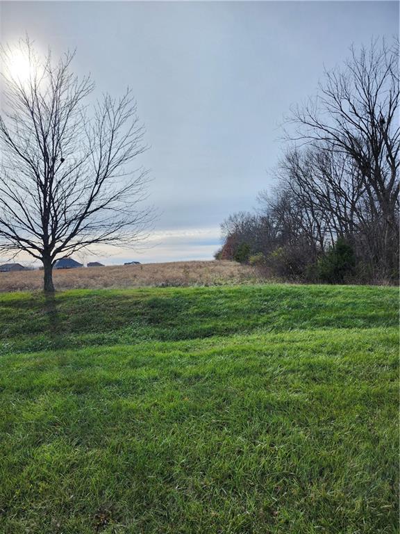 Photo of State Rt. EE Road Harrisonville MO 64701