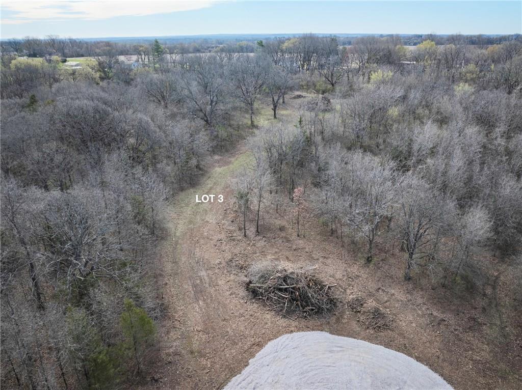 Photo of 1521 S Buckner Tarsney Road Buckner MO 64016