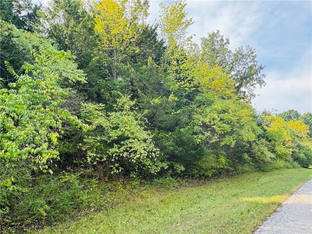 Photo of 000 Lot 1 Silver Lane Sugar Creek MO 64054