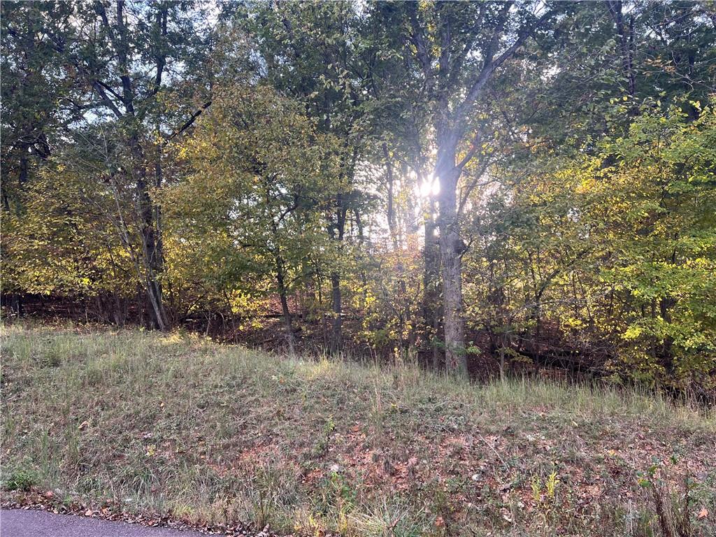 Photo of 8,9,12 &SW 1/4 Red Hollow Road Gravois Mills MO 65037