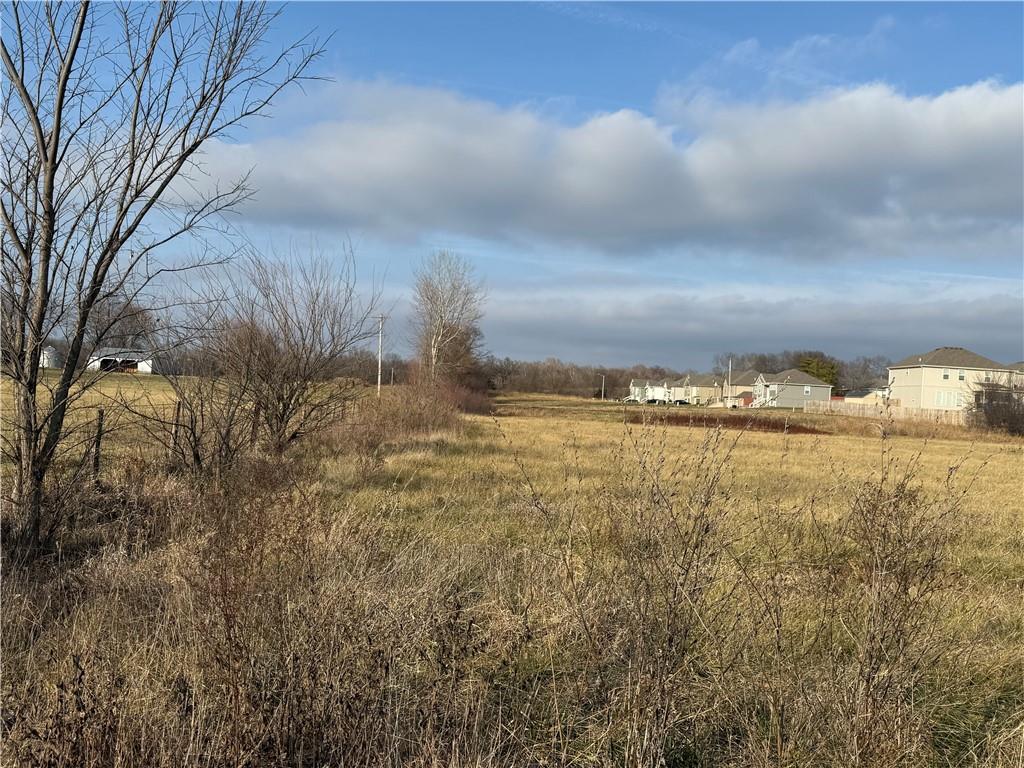 Photo of 0 124th Street Prathersville MO 64024