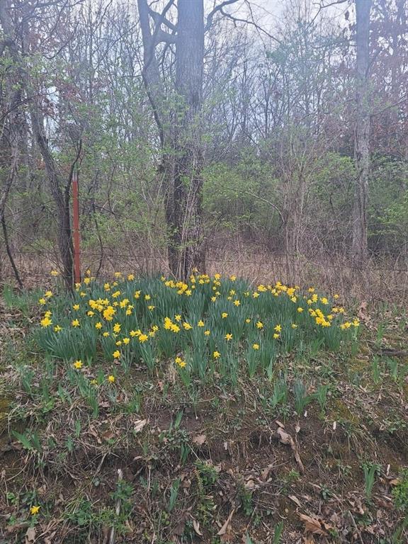 Photo of Margaret Drive Lincoln MO 65338