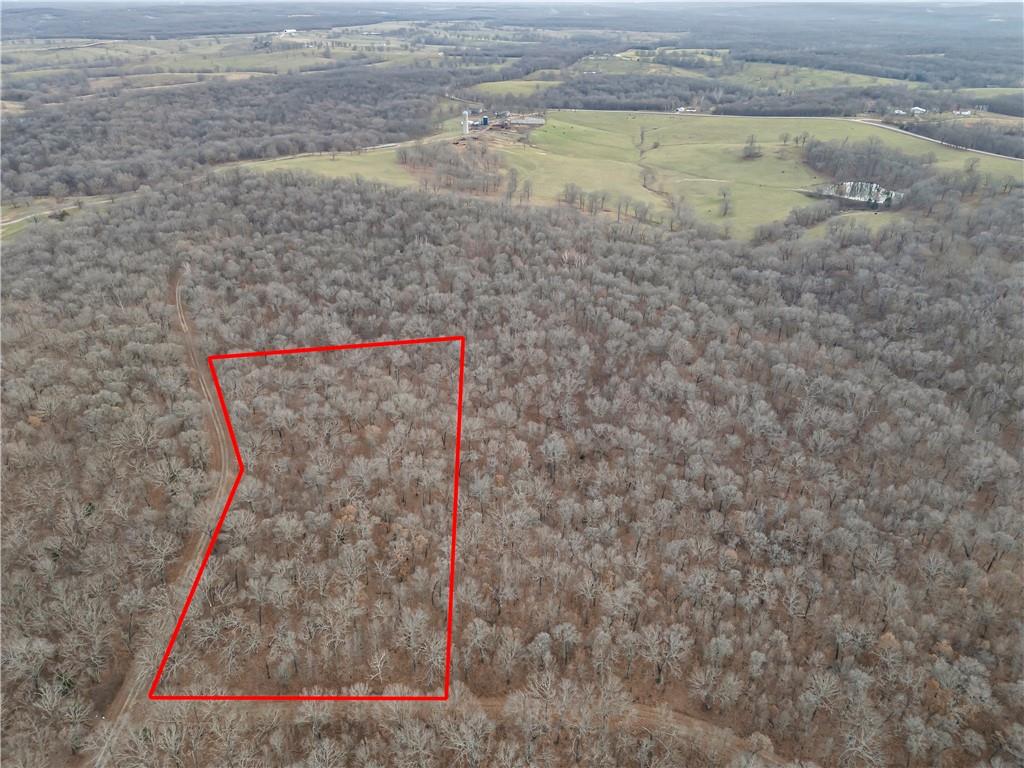 Photo of Tim Road Edwards MO 65326