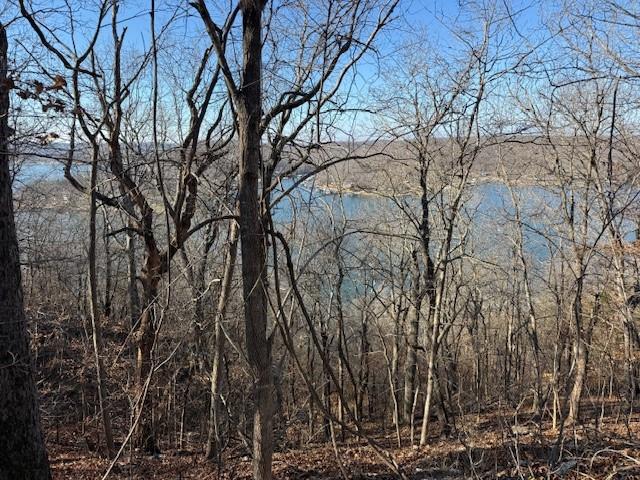 Photo of Chimney Rock Road Camdenton MO 65020