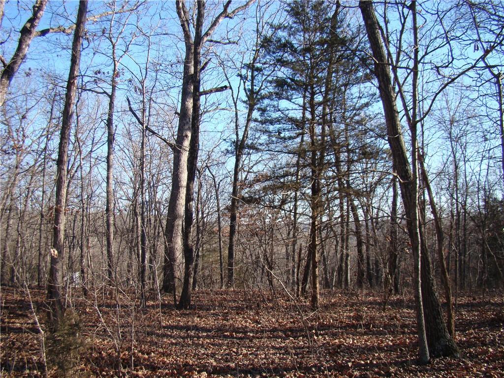 Photo of Gore/Keevon Road Lincoln MO 65338
