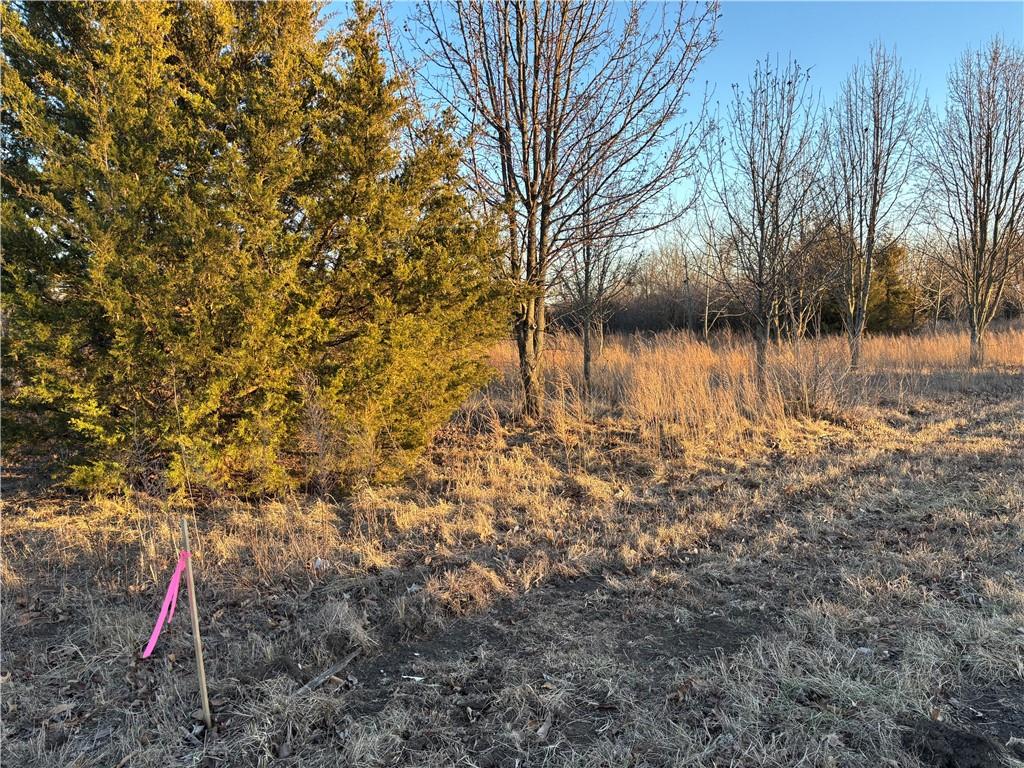 Photo of 34 & 38 Louisiana Drive Linn Valley KS 66040