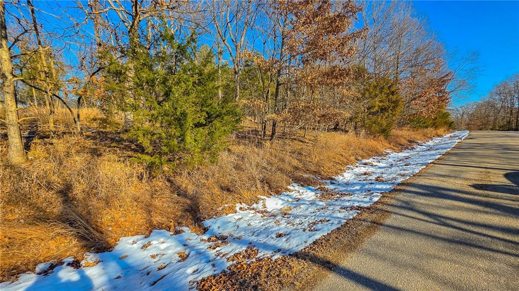 Photo of Lot #1356 Champion Drive Sunrise Beach MO 65079