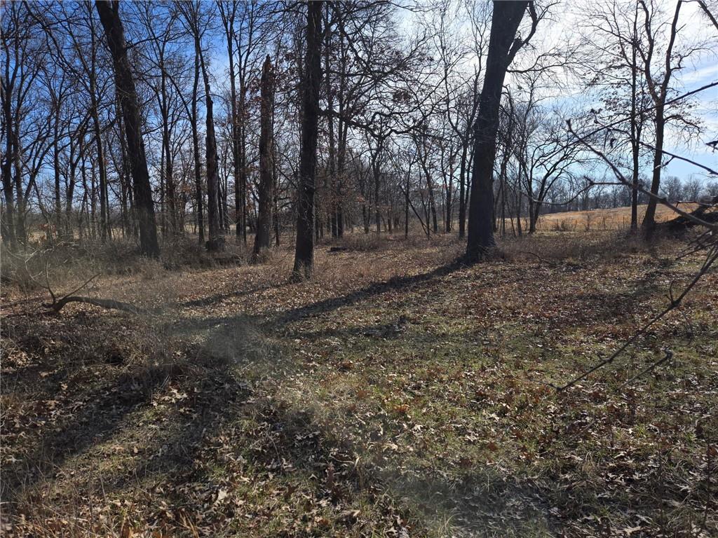 Photo of Tract B NW County Rd 17402 N/A Archie MO 64725