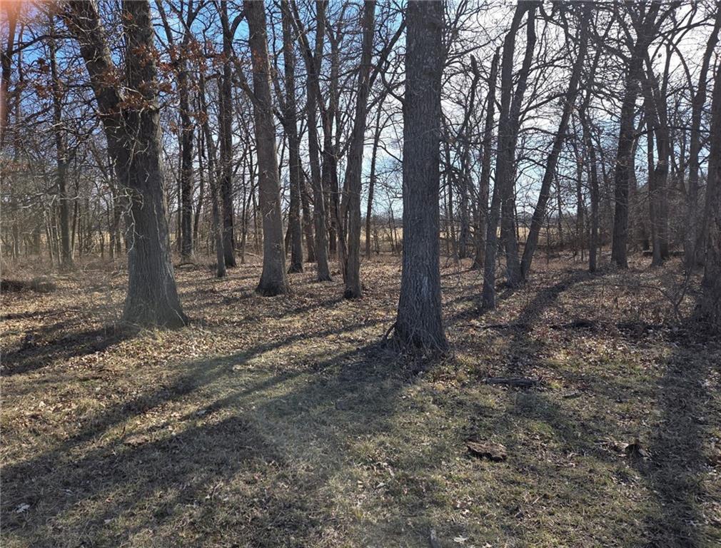 Photo of Tract C NW County Road 17402 N/A Archie MO 64725
