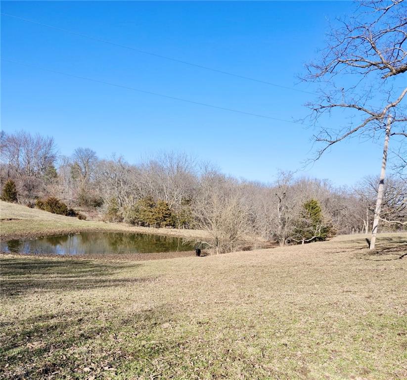 Photo of 1001 S Van Dyke Road Buckner MO 64016