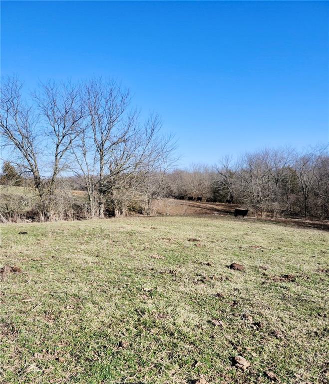 Photo of 1125 S Van Dyke Road Buckner MO 64016