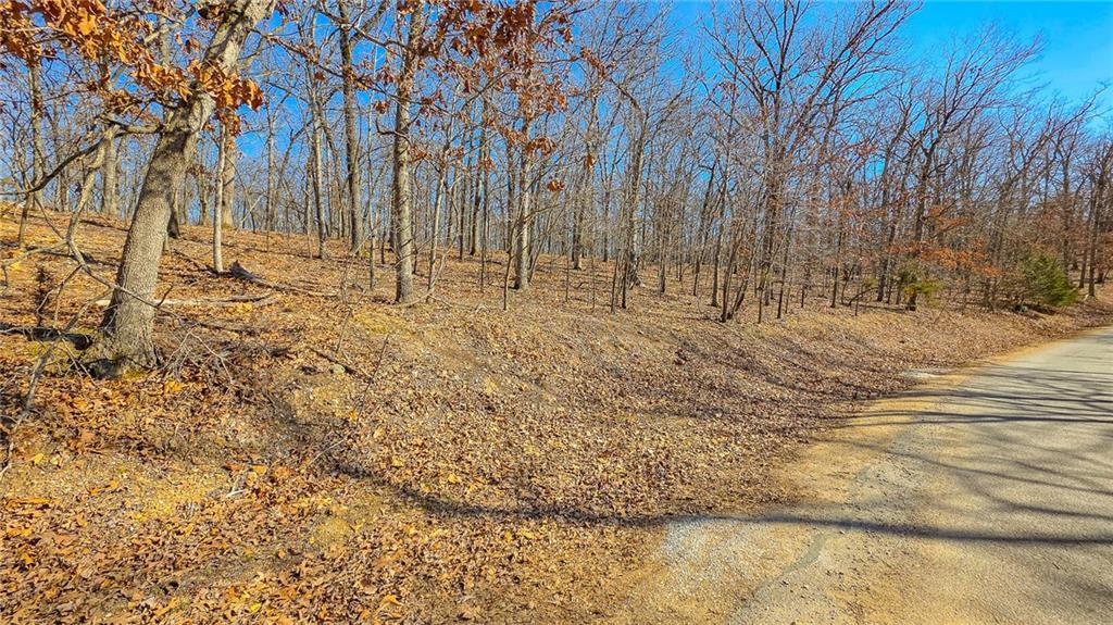 Photo of Lot #450 Grand View Drive Sunrise Beach MO 65079