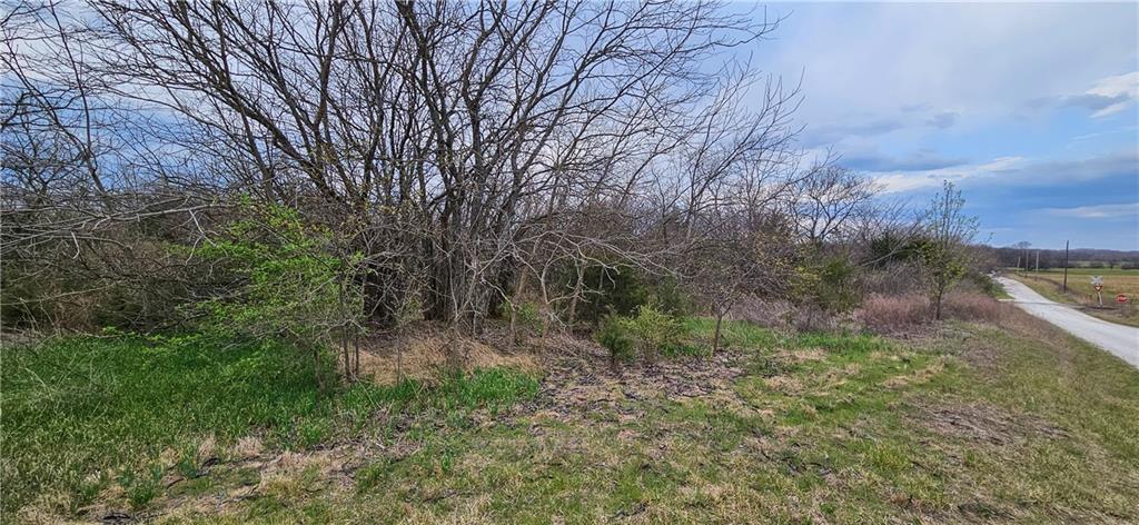 Photo of S State Route D Highway Drexel MO 64742