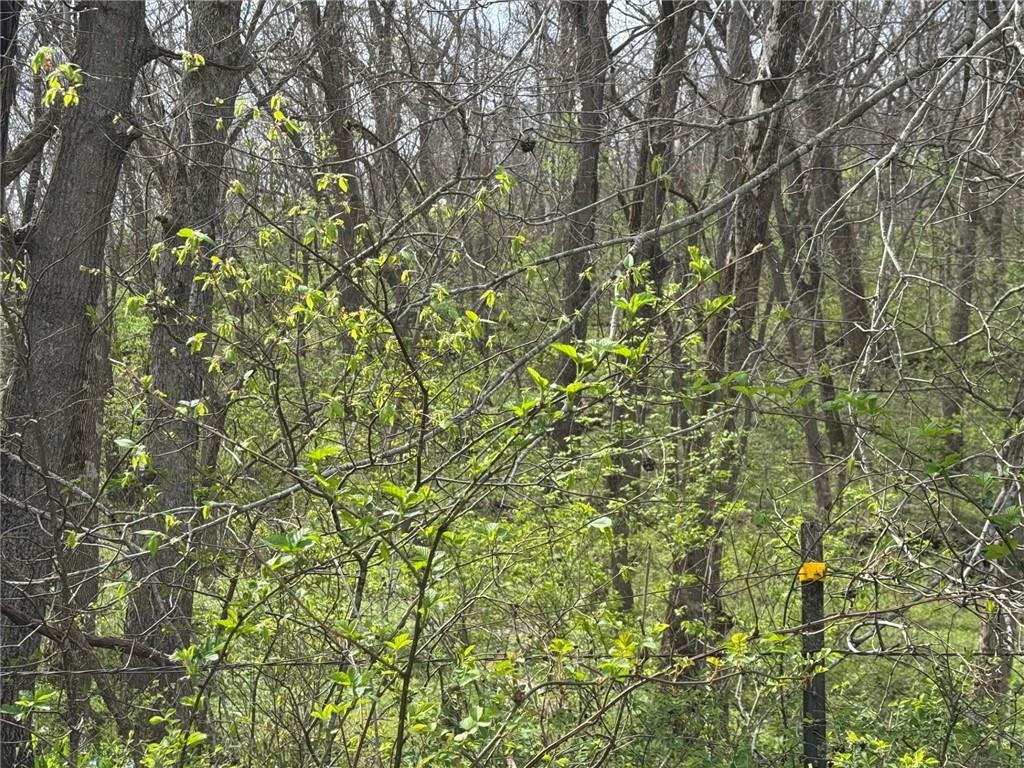 Photo of tbd NW 900* Road Warrensburg MO 64093