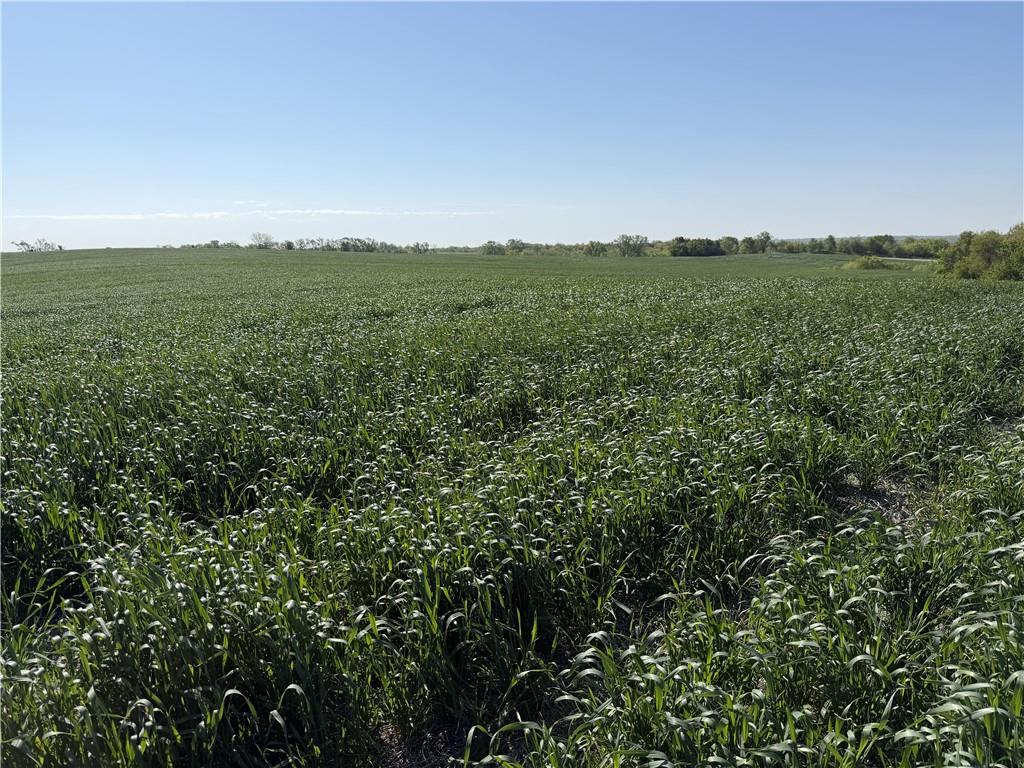 Photo of TBD #2 H Highway Darlington MO 64438