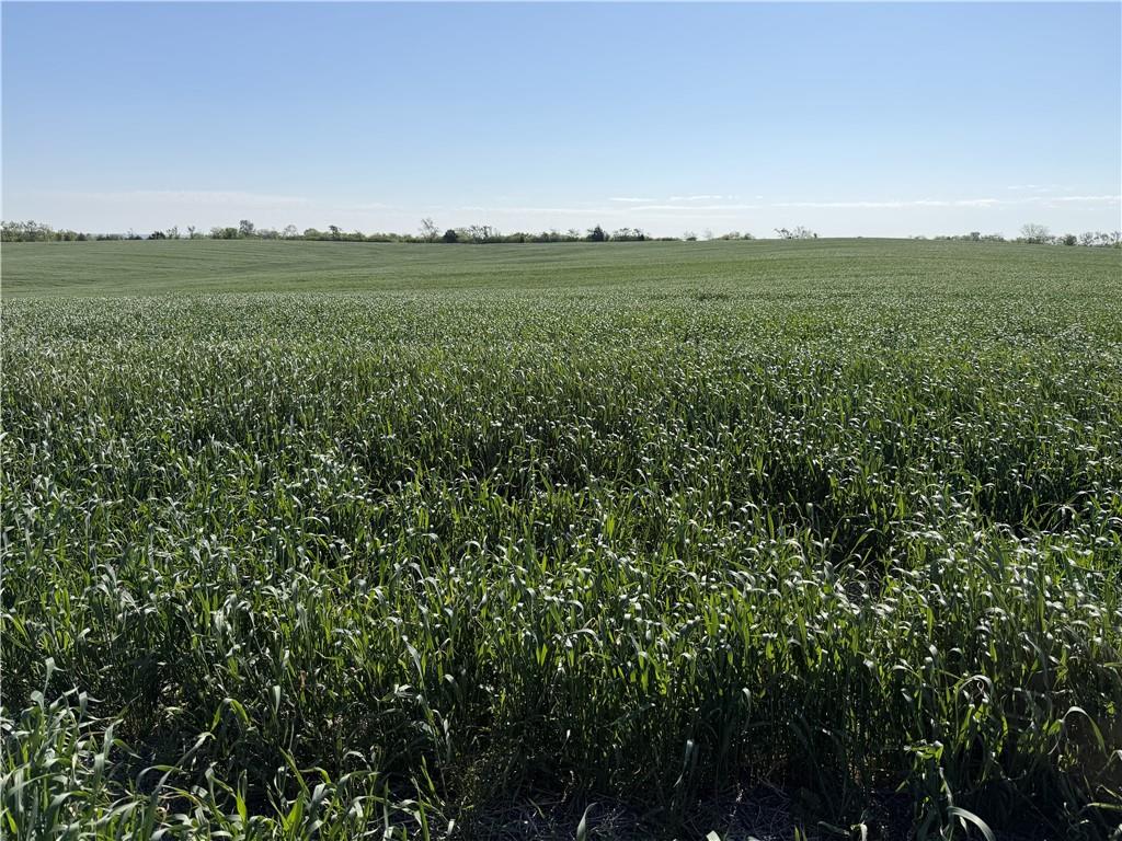 Photo of TBD #3 H Highway Darlington MO 64438