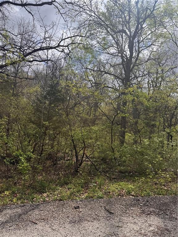 Photo of Lot 73 - 76 Green Forest Way Oak Grove MO 64075