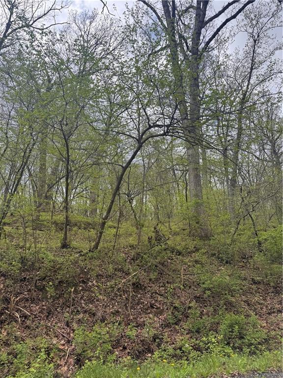 Photo of Lot 47-49 Park Lane Oak Grove MO 64075