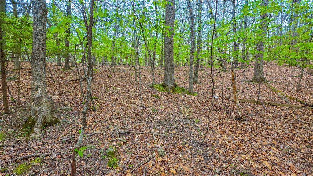 Photo of Lot #499 Grand View Drive Sunrise Beach MO 65079