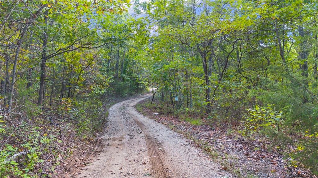Photo of 80 +/- Acres Proctor Lane Gravois Mills MO 65037