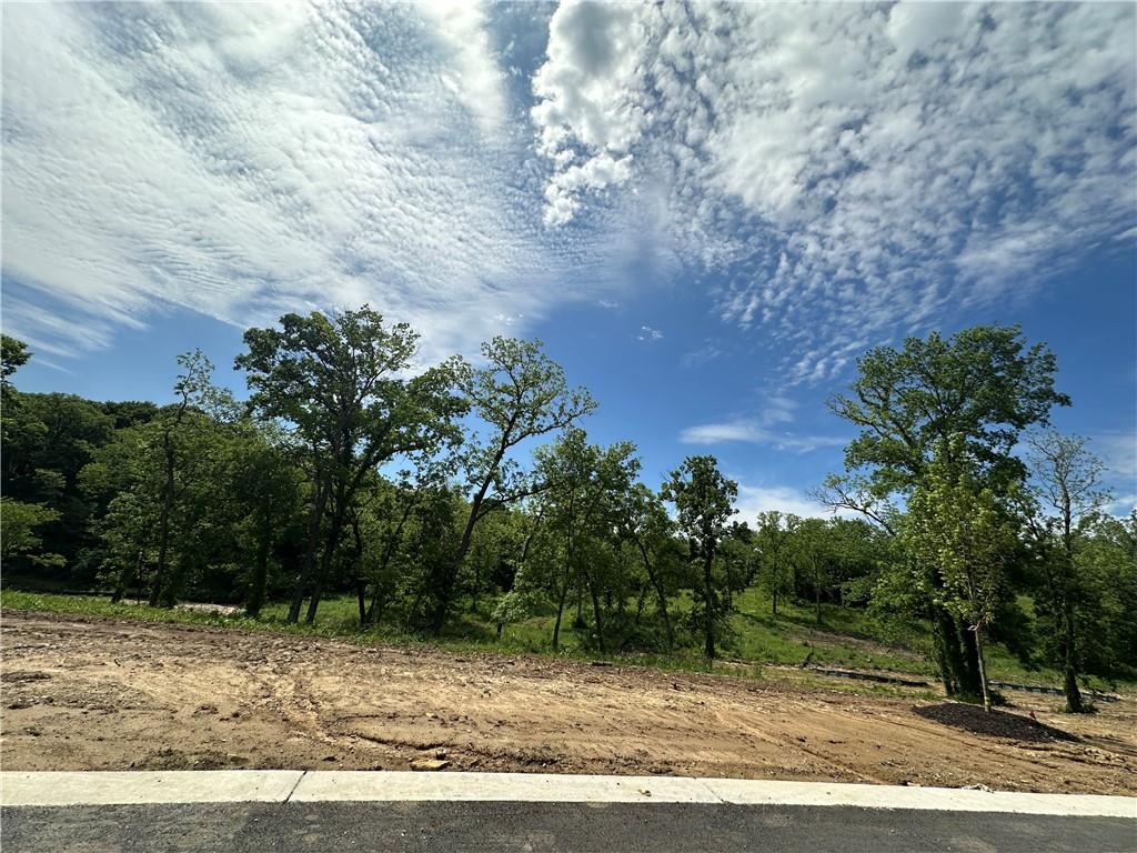 Photo of Lot 18 Copper Hill Drive Parkville MO 64152