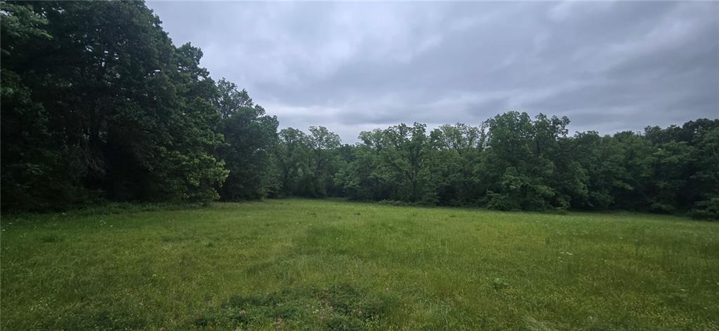 Photo of 12668 E Panama Road Nevada MO 64772