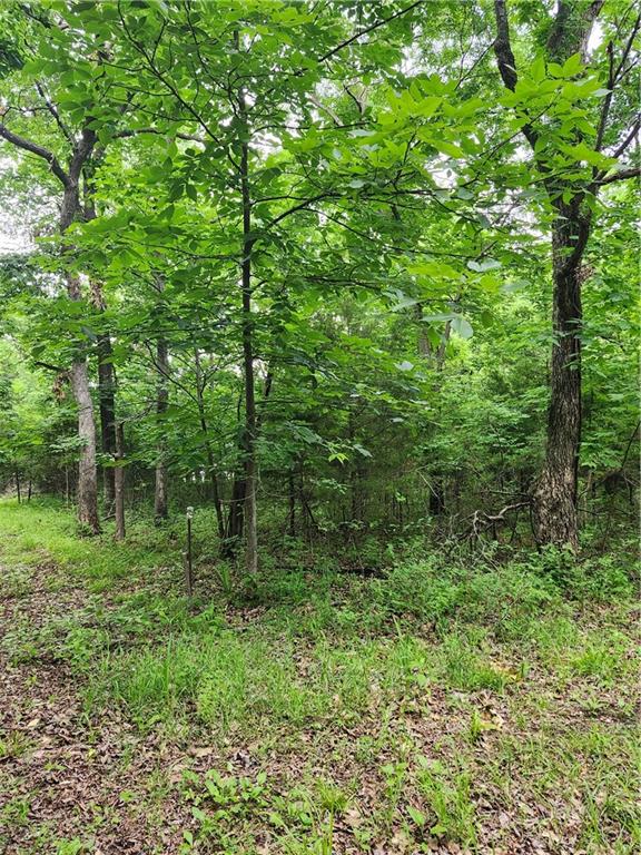 Photo of 35 Mystic Valley Drive Linn Valley KS 66040