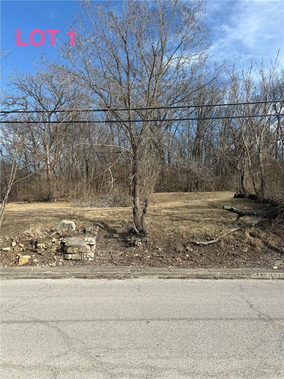 Photo of 631 N Main Street Excelsior Springs MO 64024