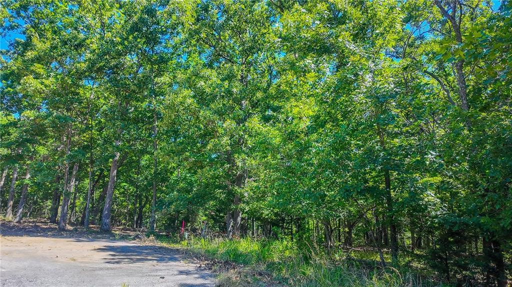 Photo of Lot #1318 Champion Court Sunrise Beach MO 65079
