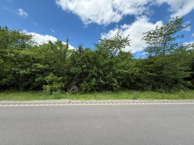 Photo of TBD 69 Highway Turney MO 64493