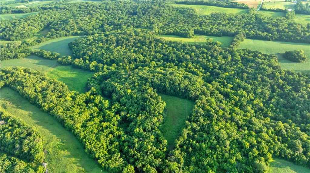 Photo of Nw Of Waller Road Richmond MO 64085