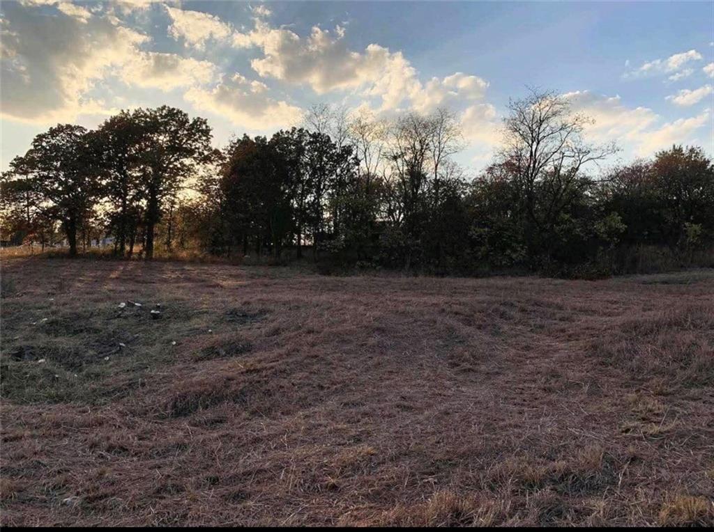 Photo of 203 W Vine Street Galena KS 66739