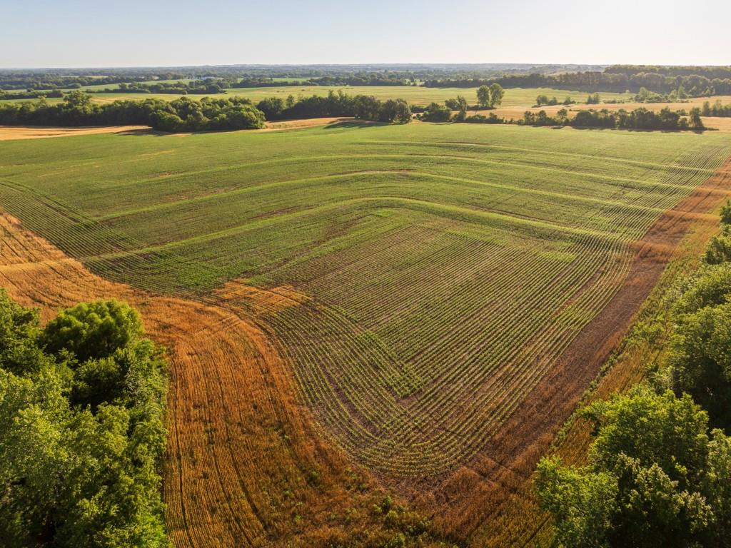 Photo of County Road  130 Road Braymer MO 64624