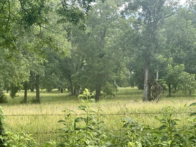 Photo of Stockade Road Moundville MO 64771