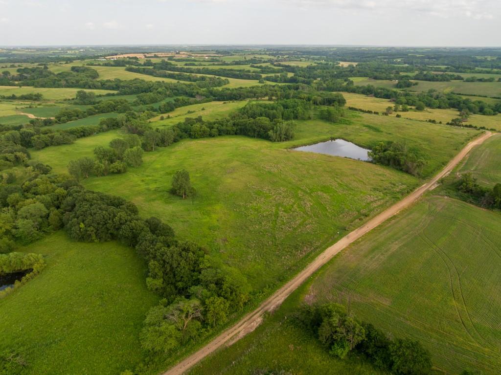 Photo of Ivy Avenue Grant City MO 64499