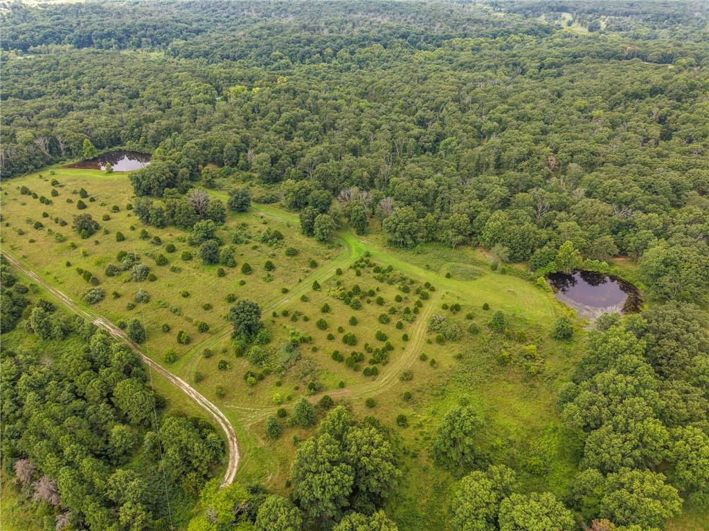 Photo of 0000 NE 251 Road Osceola MO 64776