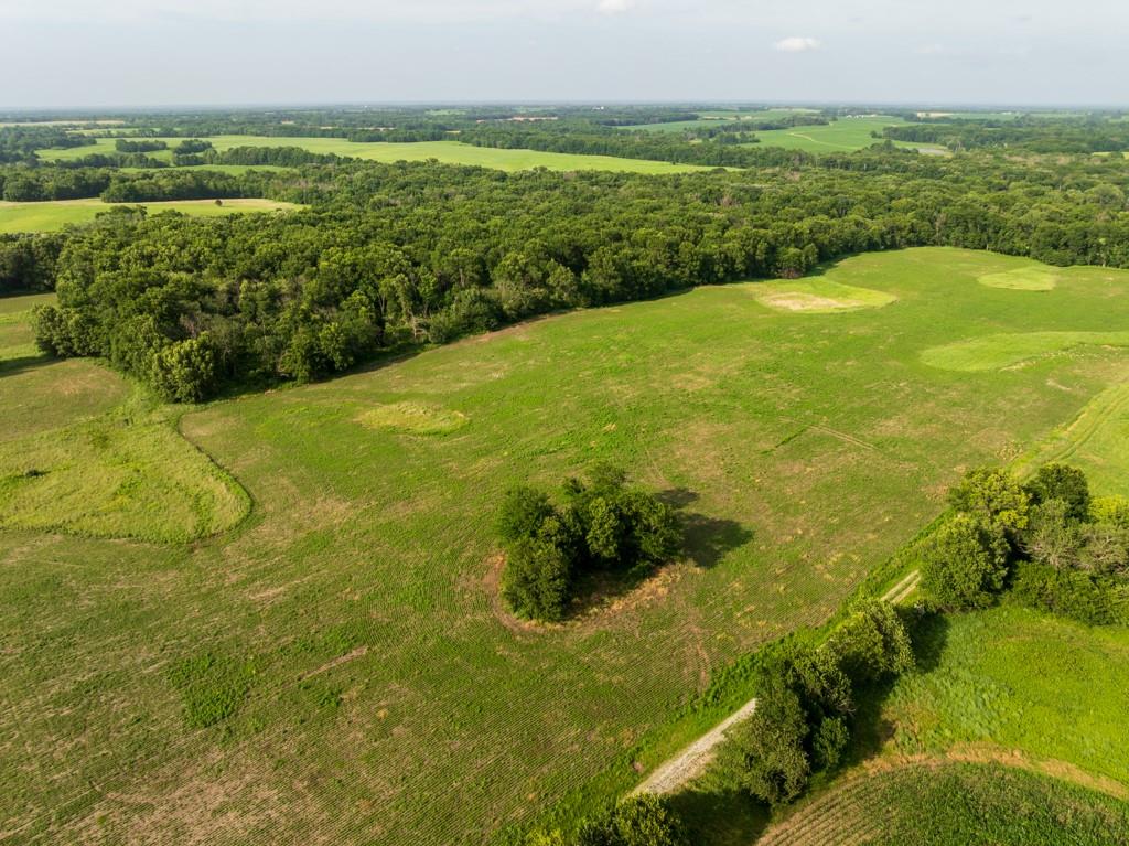 Photo of CR 330 Road Hale MO 64643