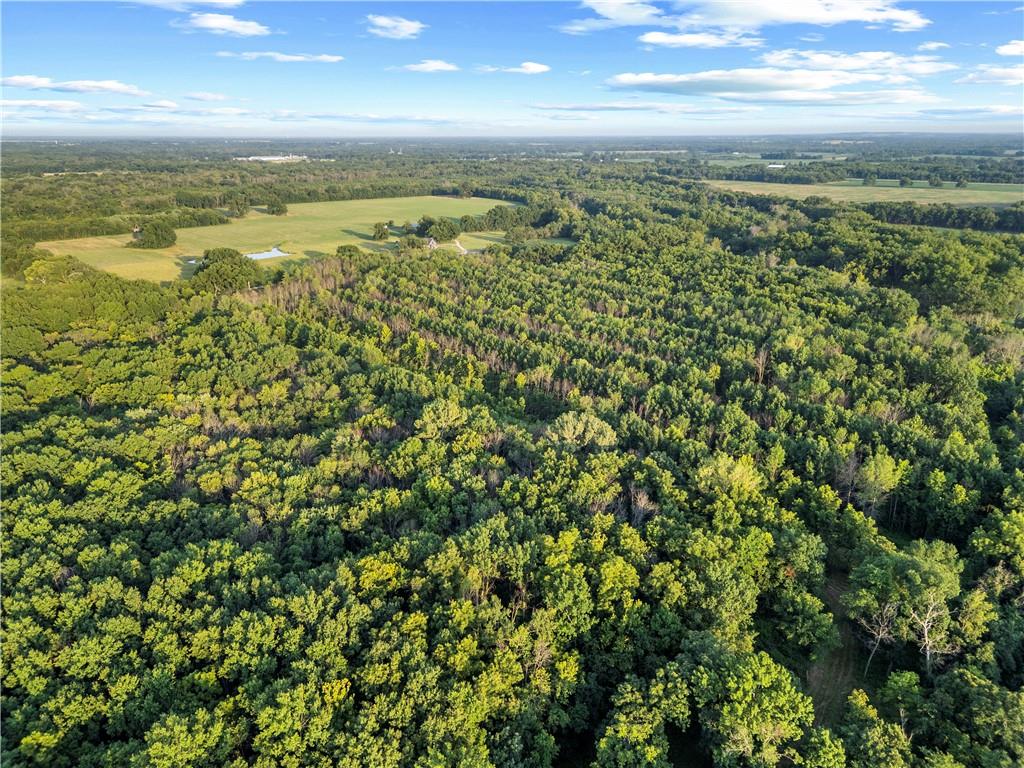 Photo of S 600 Road Richards MO 64778