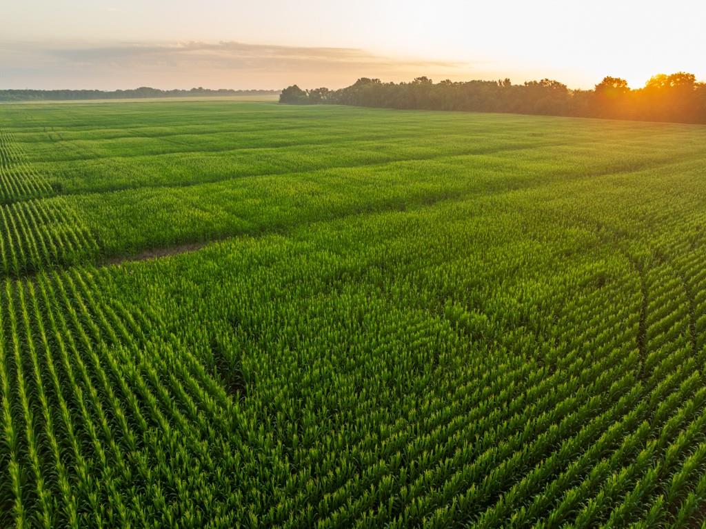 Photo of TBD C Highway Dawn MO 64638