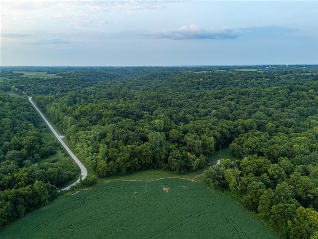 Photo of Fire Branch Road Rayville MO 64084