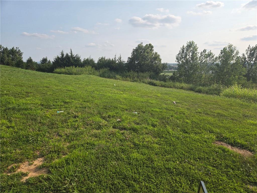 Photo of 2511 Riverview Drive Riverside MO 64150