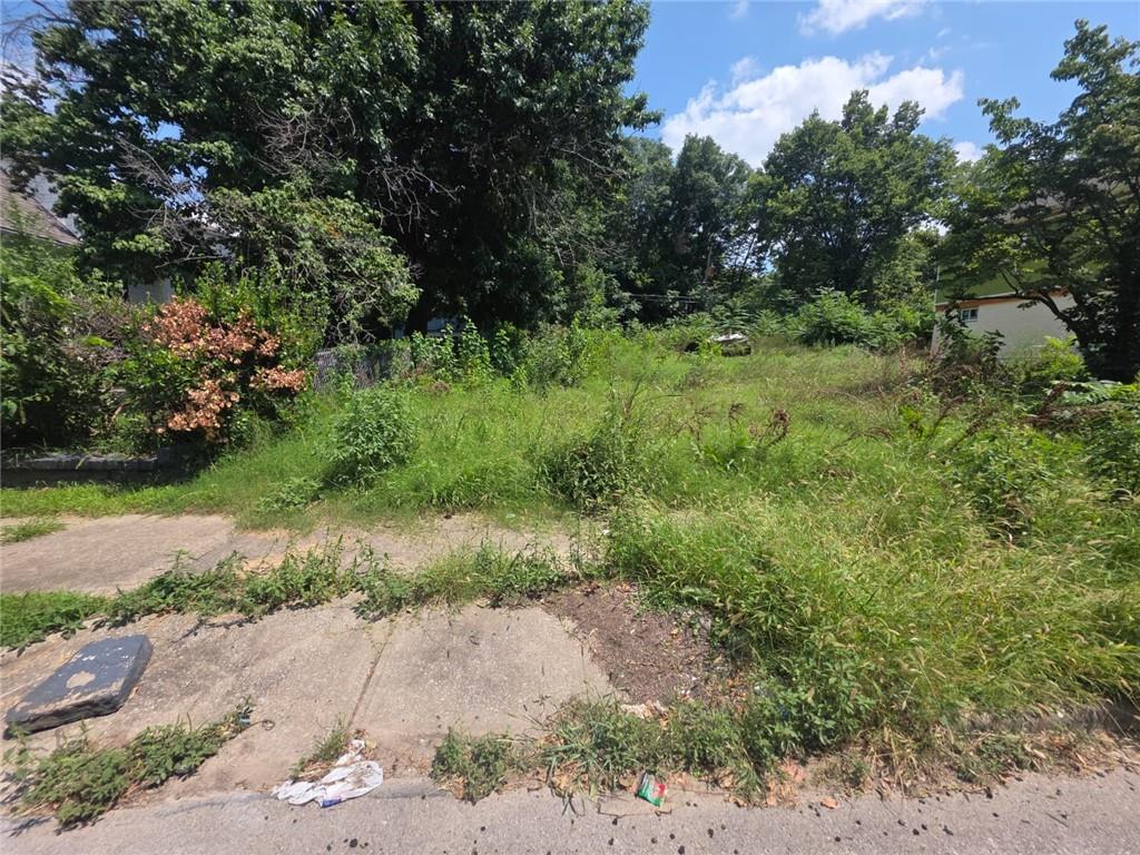 Photo of 3023 Denver Avenue Kansas City MO 64128